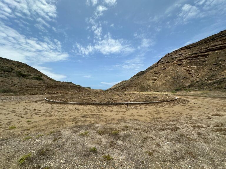 WhatsApp Image 2025-06-23 at 23.35.57 (2)